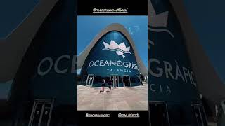 Sunrise aboard Msc Cruises with msc friend nick Muriel #msccruises #mscfriends