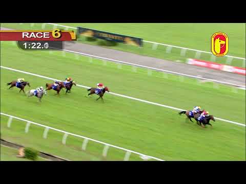 01 Dec 2019 - RACE 6