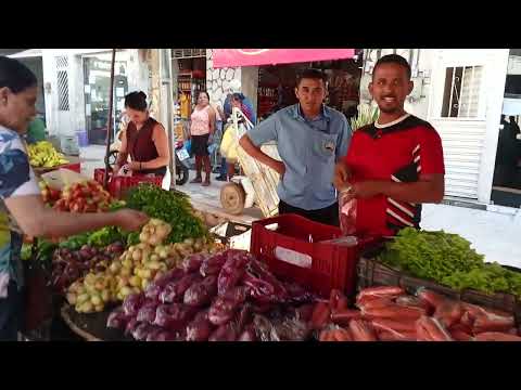 Feira de jardim ceará dia 12 do 9 dê 2026