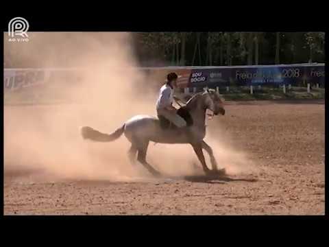 Classificatória Sapucaia (RJ) – 1° lugar machos – Capanegra Trapezio (Prova: Bayard/Sarmento)