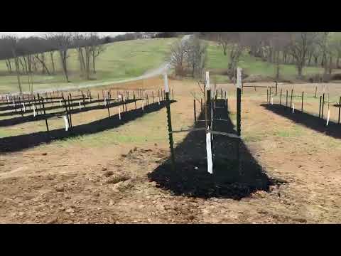 Creative Outdoor Solutions