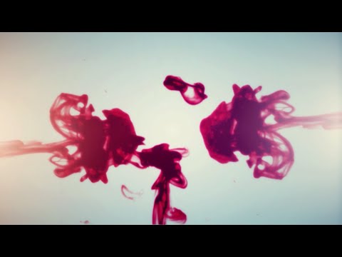 10 Free Editable Intro Templates After Effects NO COPYRIGHT