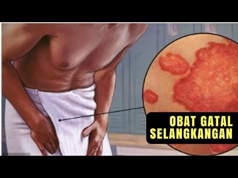 Yang merupakan agen penyebab forum kuda Teh untuk laki-laki untuk meningkatkan potensi pada pria