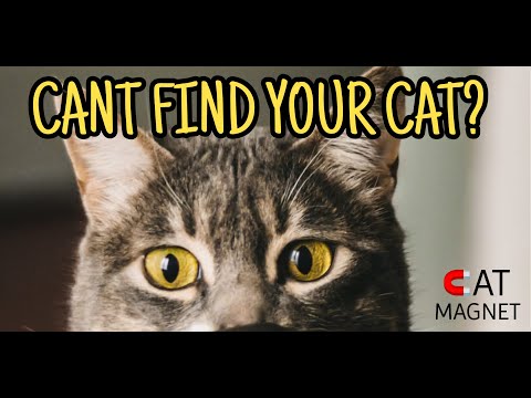 Cat Magnet: Find Missing Cats
