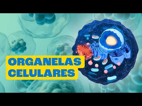 Inside the Cell: The World's Smallest Factory