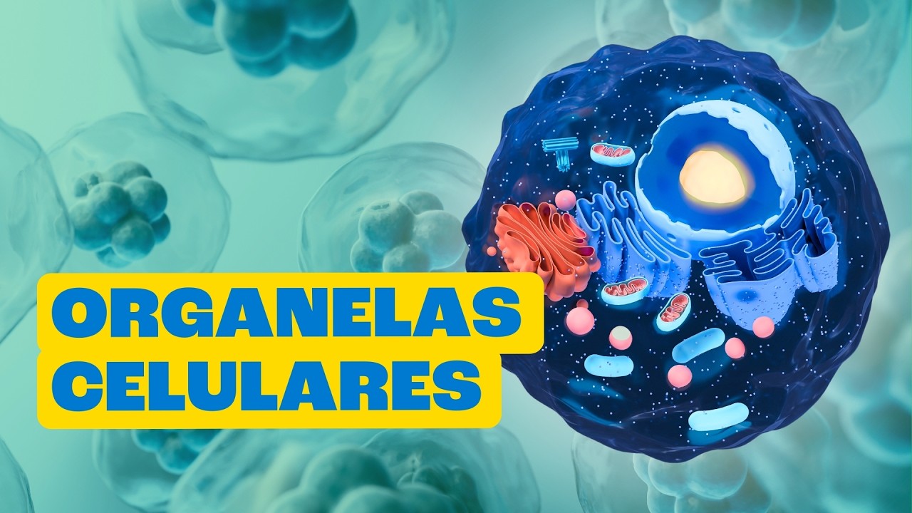 Por Dentro da Célula: A Menor Fábrica do Mundo