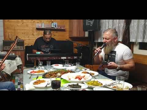 Yılan Beslemişim Yılan (şiir) Ali Dilekçi.  #keşfet #almanya #damar #arabesk