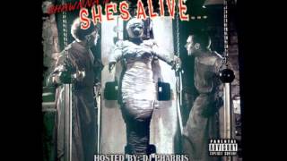 Shawnna Feat. Future, Ludacris - Blow (She Mix) - FL Studio Remake