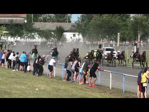 Trka "OZZ Agronom Despotovo" 17.7.2022. Express Lady - Kečenović Boris