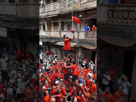 Govinda re gopala re, Girgaon Dahi handi #dahihandi #handi #govinda #janmashtami #mumbai #shorts