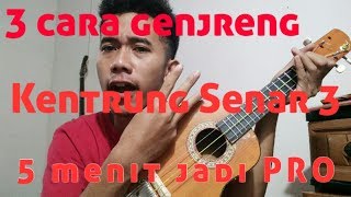 Download lagu 3 Cara Genjreng Kentrung Senar 3. Gampang, singkat, jelas, mp3