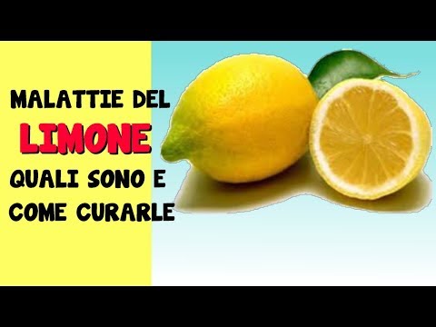 Crema di eliminazione pigmentary posti Crema da macchie scure su una faccia