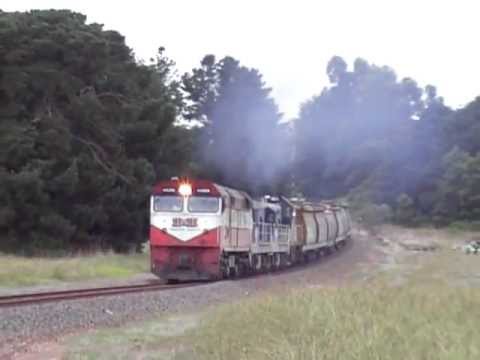 Loaded El Zorro Grain train at Hamilton