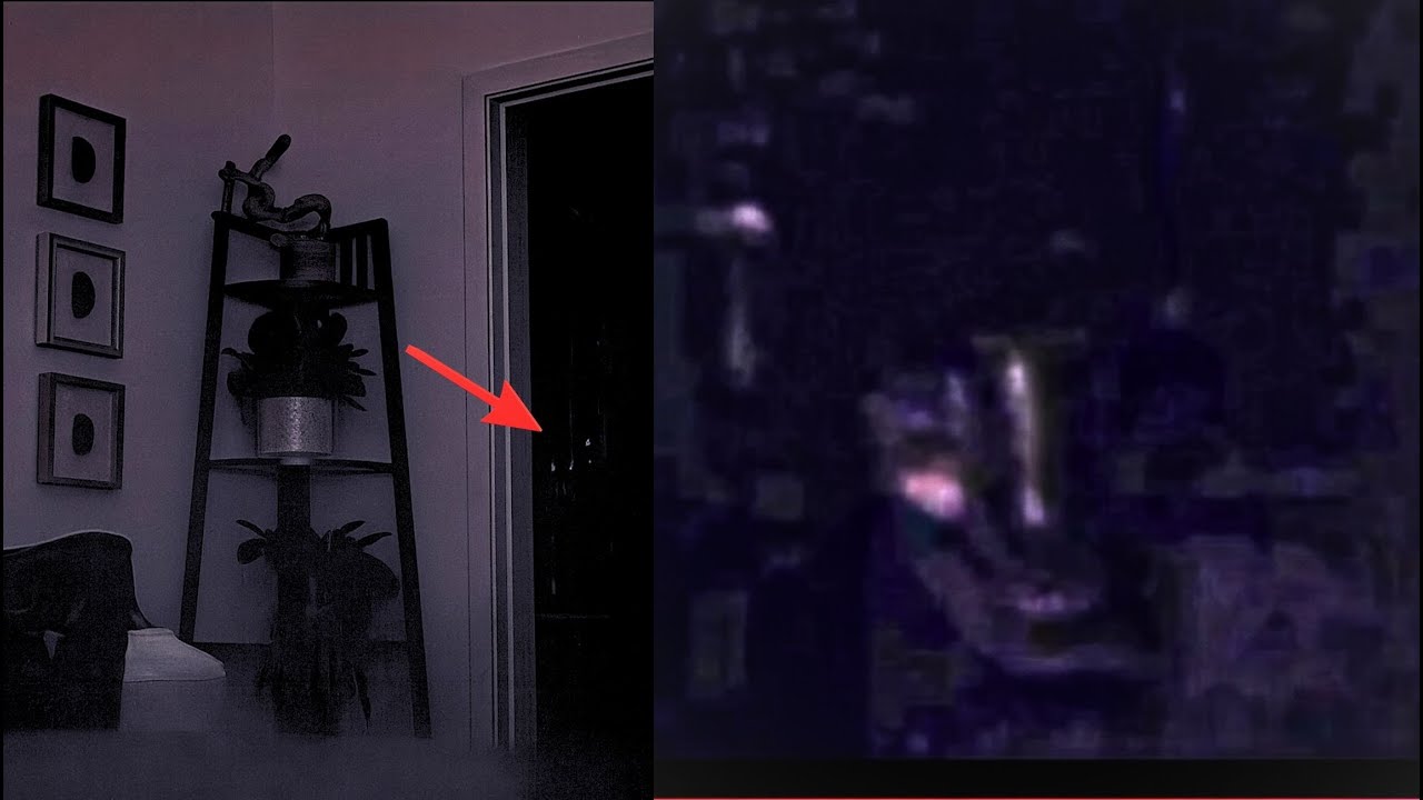 Su CÁMARA le MANDÓ UNA ALERTA de MOVIMIENTO cuando VIO LO QUE ESTABA AHÍ llamó a LA POLICÍA