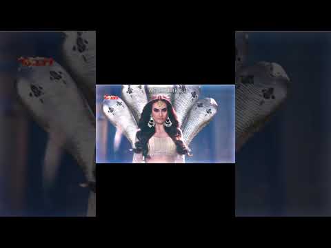 All Powerful Nagins #foryou #fypシ #youtubeshorts #viral #mouniroy #nagin #tejaswiprakash
