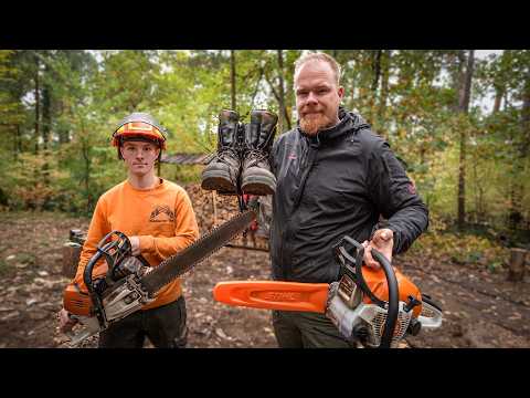 Kettensäge für Einsteiger – was du zum Start wirklich brauchst