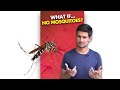 What If We K LL All The Mosquitoes