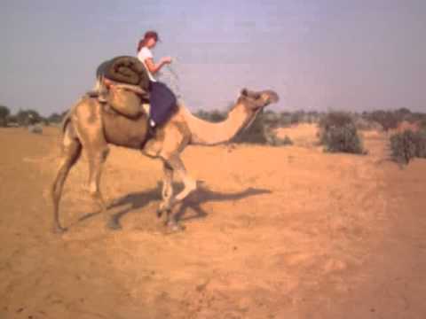 How to ride a camel