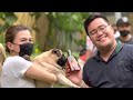 Philippine Pug Lovers Club - 10th Anniversary