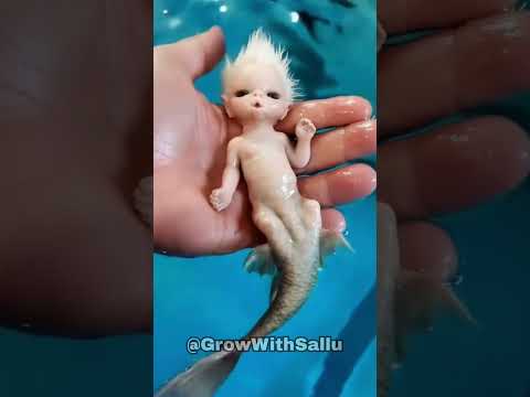 Before & After Animals Growing Up. Amazing Animal Transformation 000