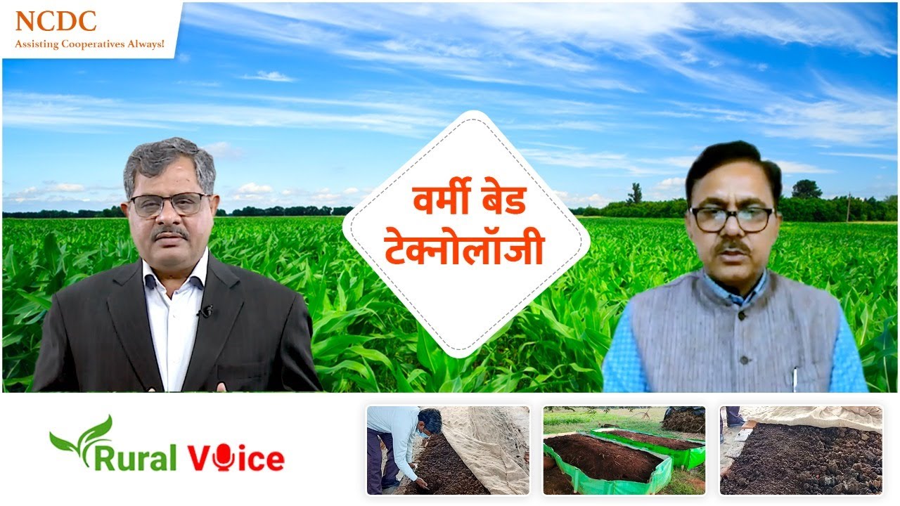 रूरल वॉयस विशेषः वर्मी कंपोस्ट केमिकल फर्टिलाइजर से सस्ता भी और अच्छा भी, जानिए इसे बनाने का तरीका
