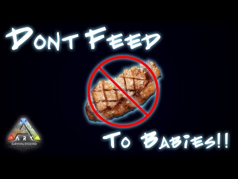DONT FEED BABIES COOKED MEAT!! (Ark Official Tip)