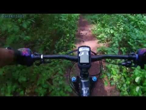 Noanet Woodlands downhill MTB 2