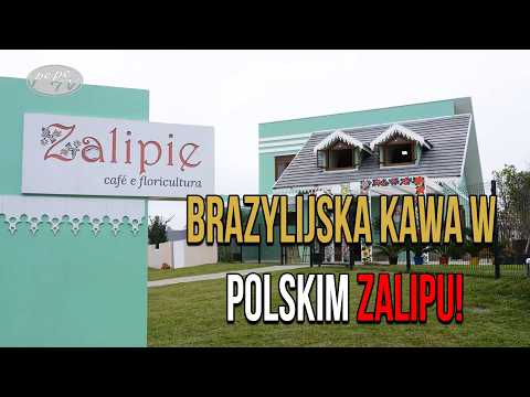 Malowana Polska w São Mateus do Sul! 🌸 Odkryj magiczne 'Zalipie' w Brazylii