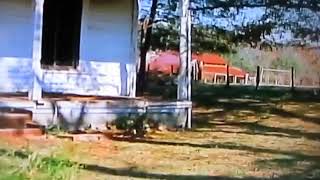 The Accountant 'Alabama   Pray for me'   Copy