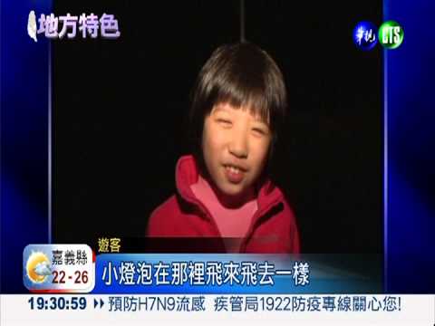 賞螢火蟲何處去? 奧萬大勇奪第一