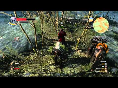 The Withcer 3: Wild hunt  pT 48