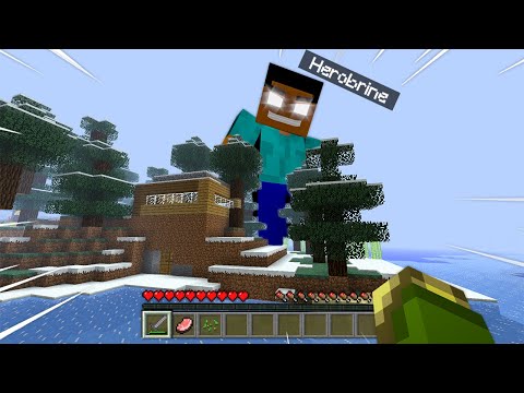 RITORNO NEL MIO MONDO MALEDETTO di MINECRAFT DOPO 1 ANNO!