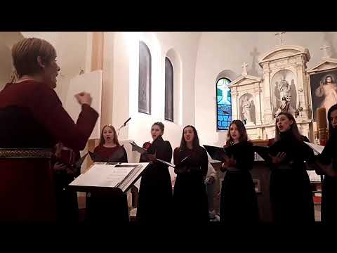 Schola Cantorum ZDRAVO DJEVICE