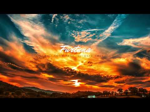 Furtuna - Zoli TOTH feat. Grigore Lese ( radio edit)