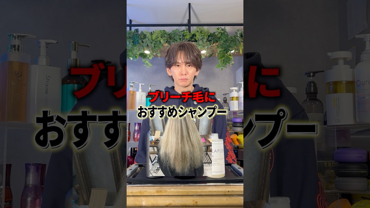 ブリーチ毛に合うシャンプーって何？オラプレックスケラテックス #札幌美容室 #メンズ縮毛矯正 #オススメシャンプー