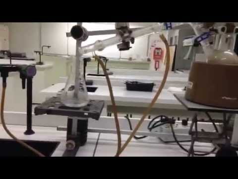 Hydrodistillation huile essentielle thym