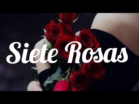 SIETE ROSAS - Grupo Mojado, Los Acosta // Letra.
