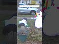 Frosty The Snowman Tried To Steal My Shoes