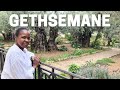Gethsemane Where Jesus Was Arrested Judas Betrayed Jesus With A Kiss