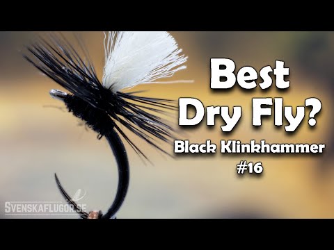 World’s Best Dry Fly?