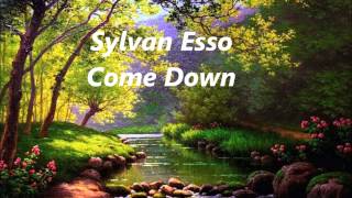 Sylvan Esso  Come Down