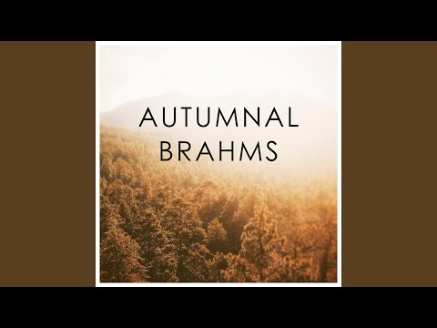 Videoclip de Symphony No. 1 in C Minor, Op. 68 : Brahms: Symphony No. 1 in C Minor, Op. 68: III. Un poco allegretto e grazioso — Herbert von Karajan