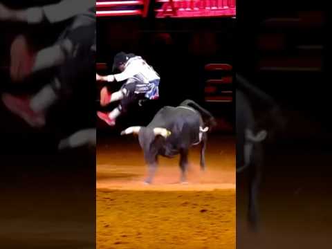 Bull Jumping @sarodeo