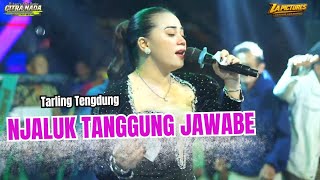Download lagu NJALUK TANGGUNG JAWABE // CITRA NADA LIVE DESA CIKANDANG (GOLAMPIT) - KERTASARI //BANJARHARJO BREBES mp3 Download lagu NJALUK TANGGUNG JAWABE // CITRA NADA LIVE DESA CIKANDANG (GOLAMPIT) - KERTASARI //BANJARHARJO BREBES mp3