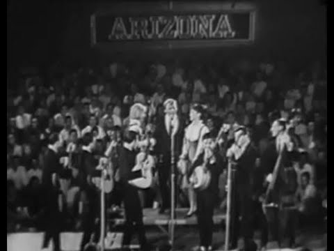 New Christy Minstrels - "Green Green" live 1963 Hootenanny