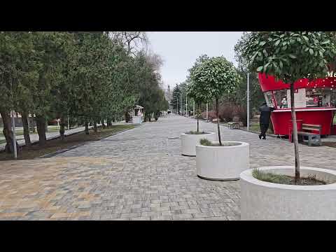 Обзор смартфона HONOR Magic 8 Pro: немного лучше во всем / Смартфоны