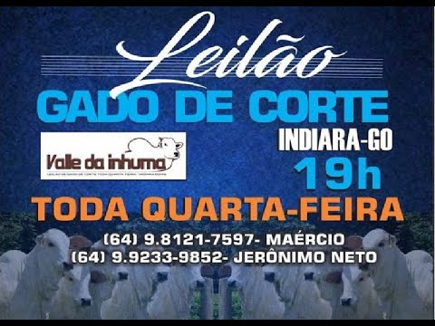 Indiara  - GO  19/11/2025