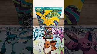 I Pulled Her Chase! Pokemon Things!!
