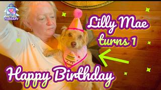 Pink Dog Birthday Kit for Photoshoot Worthy Picture Ops!