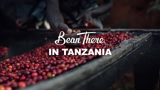 Bean There Coffee in Tanzania